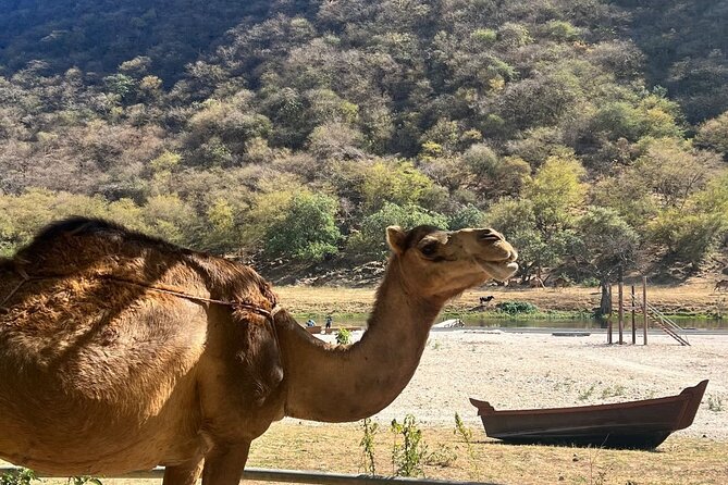 Mountain Safari, Camels, waterfalls & lunch (Group Tour) - Tawi Ateer shows Dhofar’s dramatic side