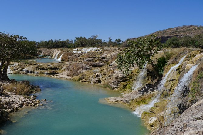 Mountain Tour - Darbat falls, Jebel Samhan, sinkholes, baobabs - Wadi Darbat: water, greenery, and wandering camels