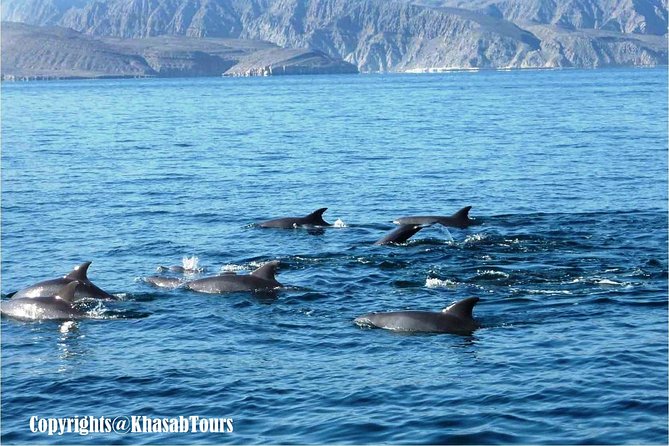 Musandam Khasab Day Trip and Dhow Cruise from Dubai - Telegraph Island, built in 1864