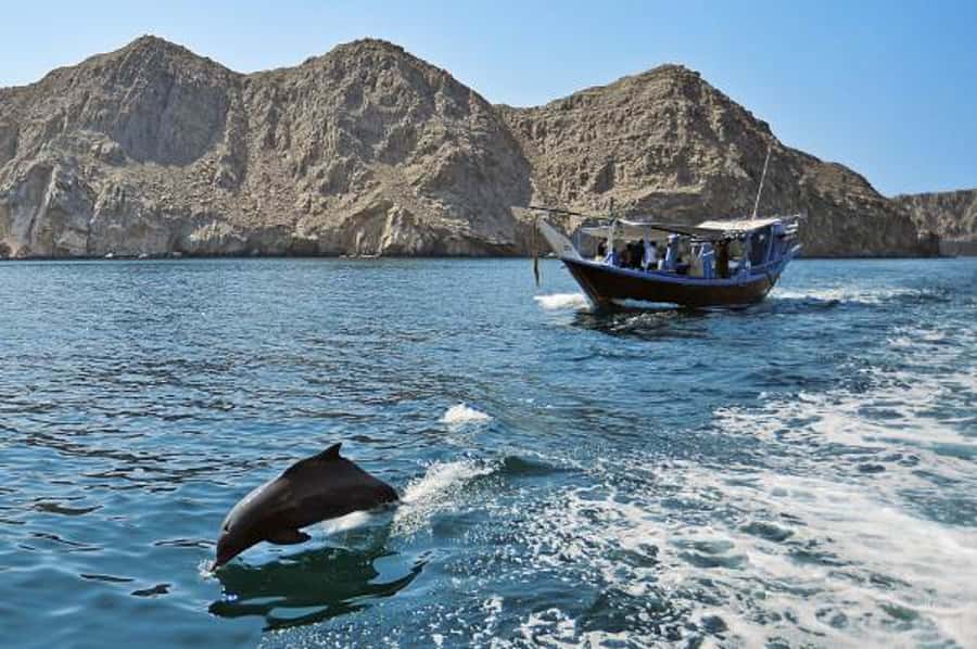 Musandam Khasab Full-Day Cruise with Transfers & Lunch - Key points to know before booking