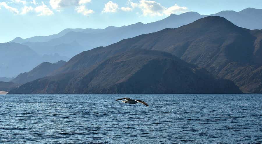 Musandam Khasab Full-Day Cruise with Transfers & Lunch - Telegraph Island and the water stops