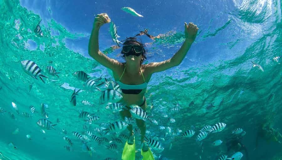 Muscat: 4-Hour Snorkeling Tour with Dolphin watching - What is supplied on the boat