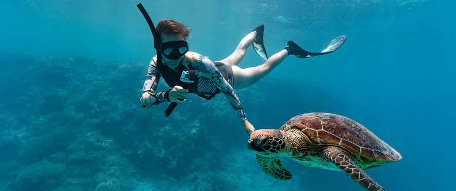Muscat: 4-Hour Snorkeling Tour with Dolphin watching - Is $90 per person fair?