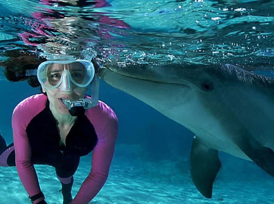 Muscat: 4-Hour Snorkeling Tour with Dolphin watching - Who will enjoy this most?