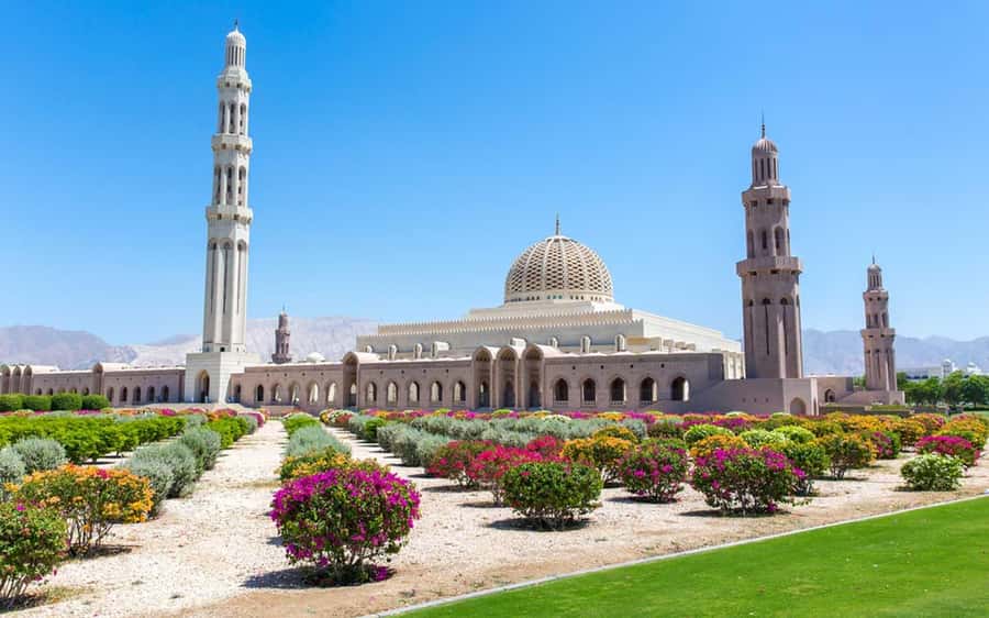 Muscat : 4 hours private Tour of Muscat City with Pick-up - A fast but useful introduction to Muscat