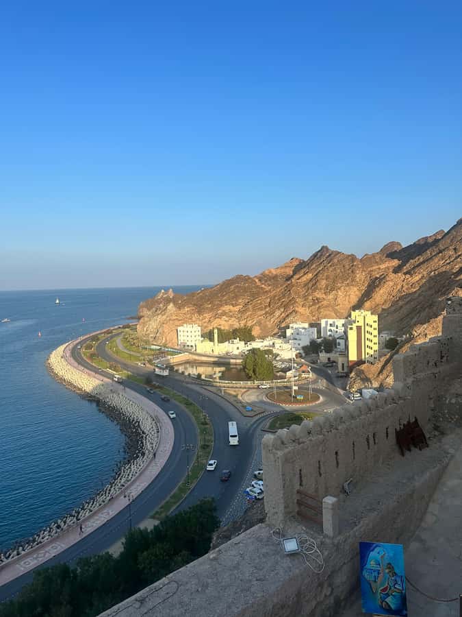 Muscat : 4 hours private Tour of Muscat City with Pick-up - The Royal Opera House and modern Muscat