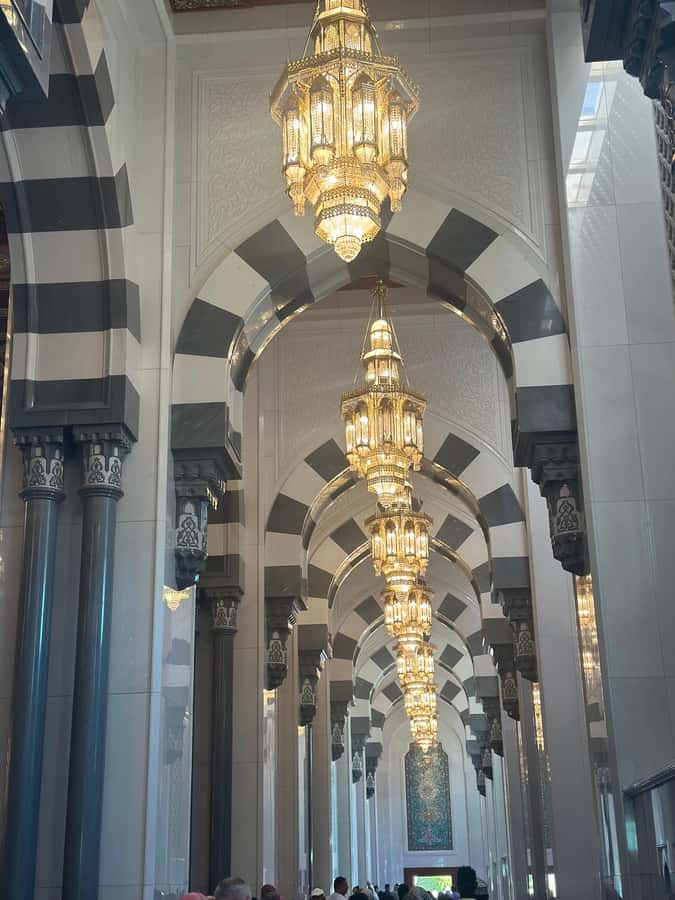 Muscat : 4 hours private Tour of Muscat City with Pick-up - The corniche and fish market
