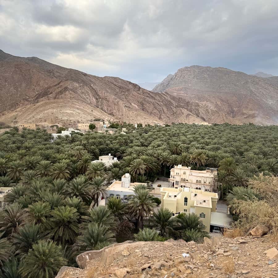 Muscat: 4x4 Adventure Through Jebel Akhdar and Nizwa - What the vehicle and guide service are really worth