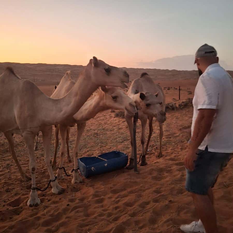 Muscat: Bidiya Desert Sunset Camel Ride with Transfer - The two-hour road from Muscat to Bidiya