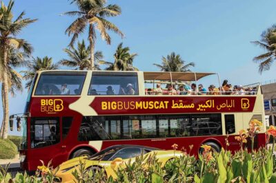 Big Bus Hop-On Hop-Off Sightseeing Tour