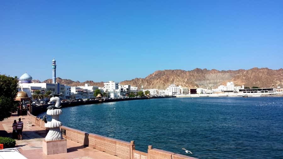 Muscat: Big Bus Hop-On Hop-Off Sightseeing Tour - Who will get the most from this Muscat tour?