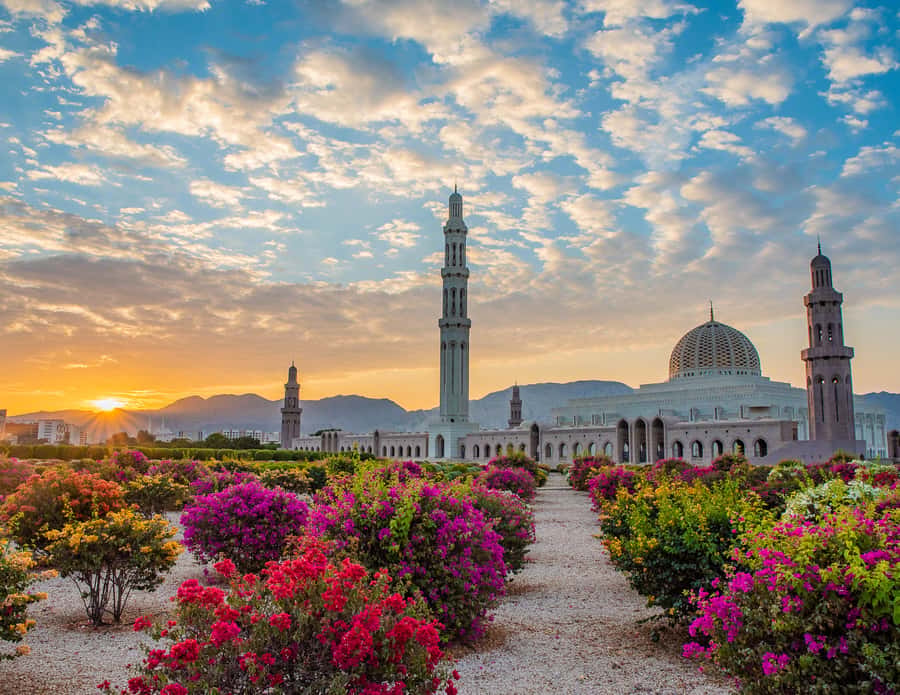 Muscat: Budget Friendly City Tour - A useful first look at Muscat in four hours