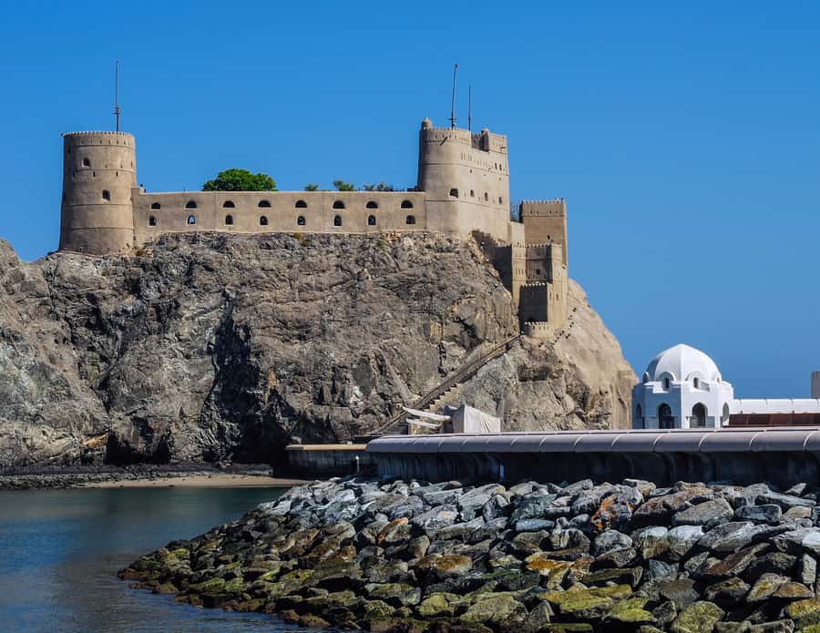 Muscat: Budget Friendly City Tour - Transport, group size, and guide quality