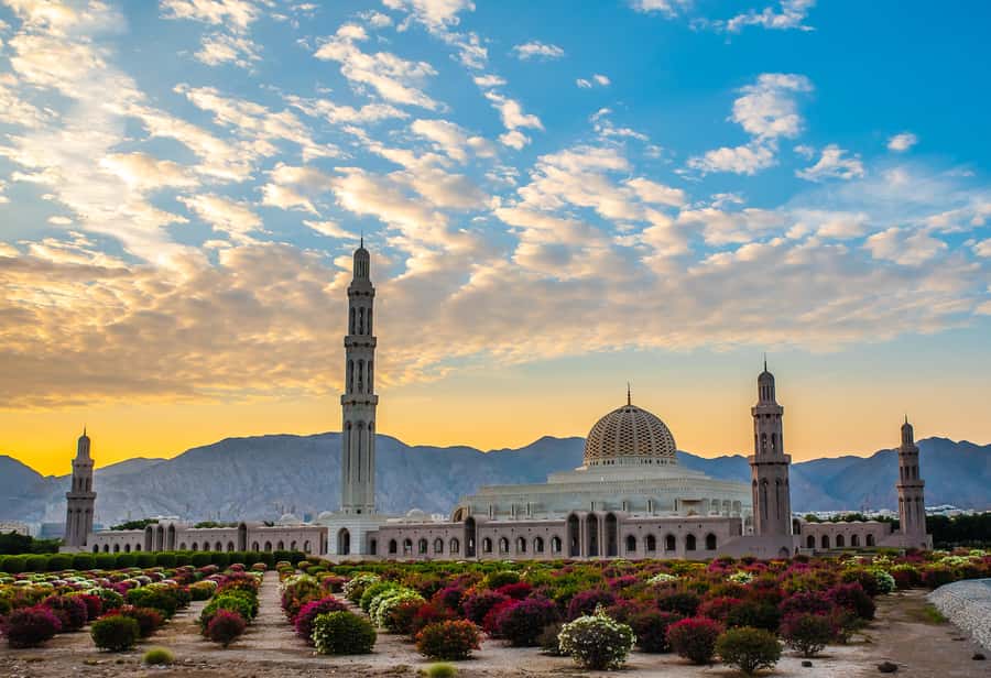 Muscat: City Highlights Tour with Optional Transfers - Why this Muscat tour works as a first-day plan