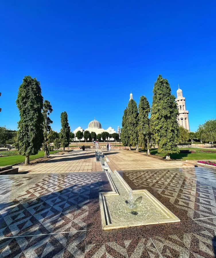 Muscat City Tour and life with Omani Guy ( luxury car). - Who should book this Muscat tour?
