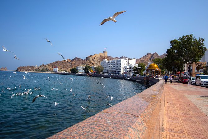Muscat City Tour Full Day - Private Guided Tour from Muscat - What the private format really adds