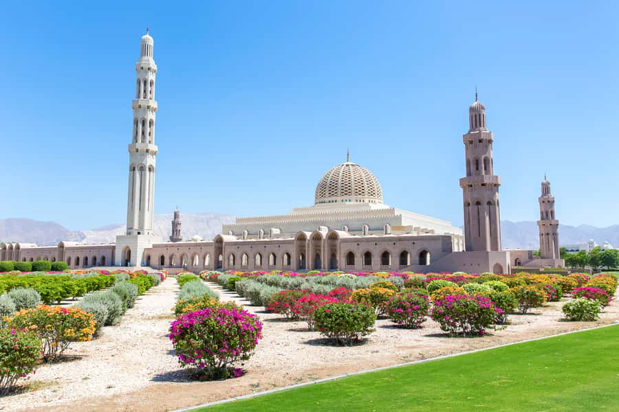 Muscat: City Tour of Grand Mosque, Old Souqs, Museum, & Fort - How the private price compares with the experience