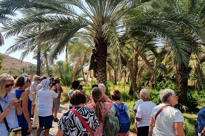 Muscat City Tour with All Language Guide - The Royal Opera House’s modern Omani design