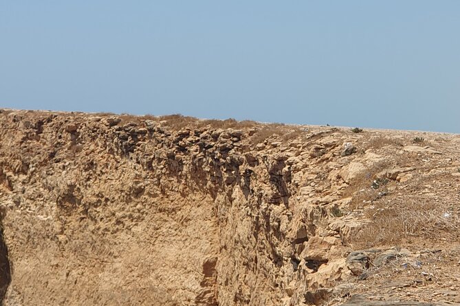 Muscat City Tour with All Language Guide - Mutrah Fish Market and the working harbor