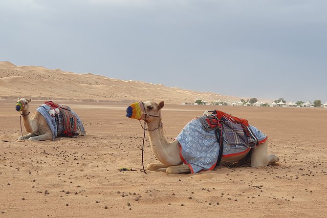 Muscat City Tour with All Language Guide - Al Alam Palace and the limits of the visit