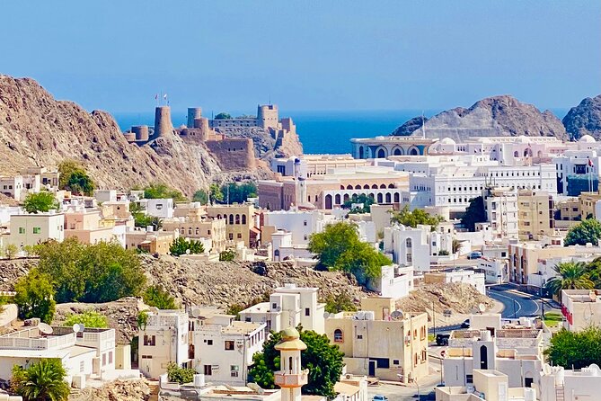 Muscat City Tour with Omani Guide (Private). - Starting at the Sultan Qaboos Grand Mosque