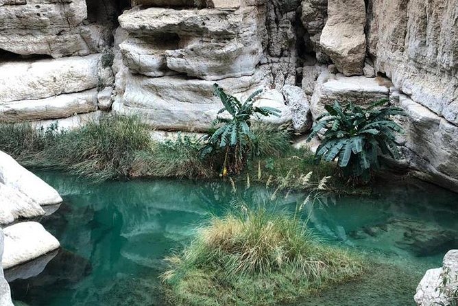 Muscat City & Wadi Shab Full-Day Adventure - Wadi Shab: the day’s physical challenge