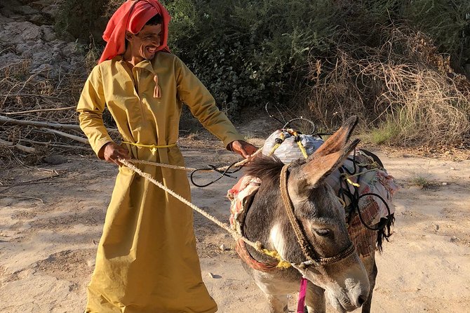Muscat City & Wadi Shab Full-Day Adventure - Al Alam Palace and Muscat’s ceremonial center