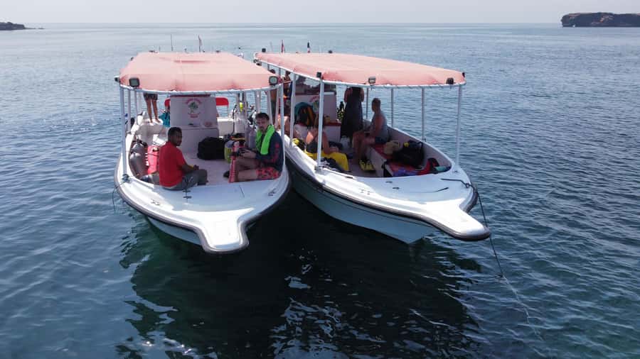 Muscat: Daymaniat Islands Scuba Diving for Beginners - The first underwater session at the islands