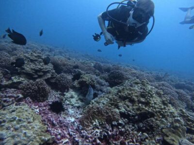 Daymaniat Islands Scuba Diving for Beginners
