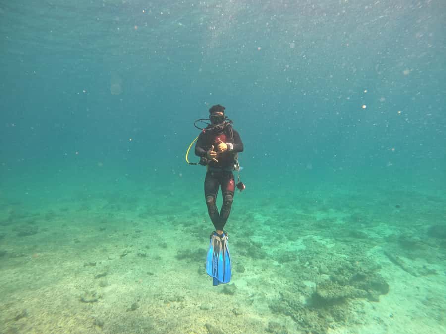 Muscat: Daymaniat Islands Scuba Diving for Beginners - What the $194 price includes