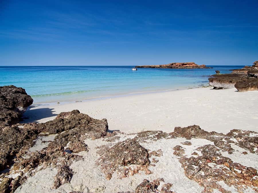 Muscat: Daymaniat Islands Snorkeling Tour with Refreshments - A beach stop depends on the calendar