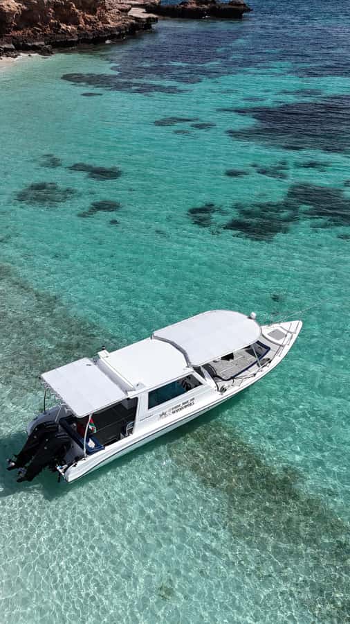 Muscat: Daymaniat Islands Tour - What the $80 Price Really Covers