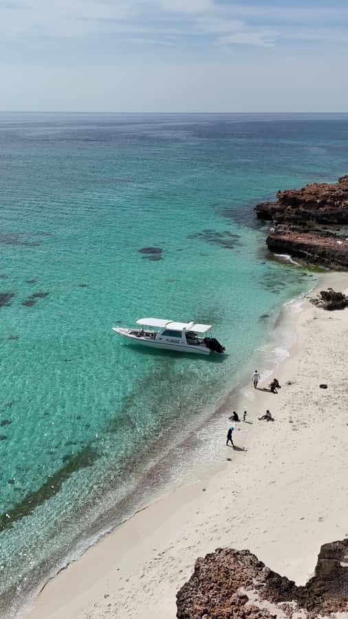 Muscat: Daymaniat Islands Tour - Who Will Enjoy This Half-Day Boat Trip