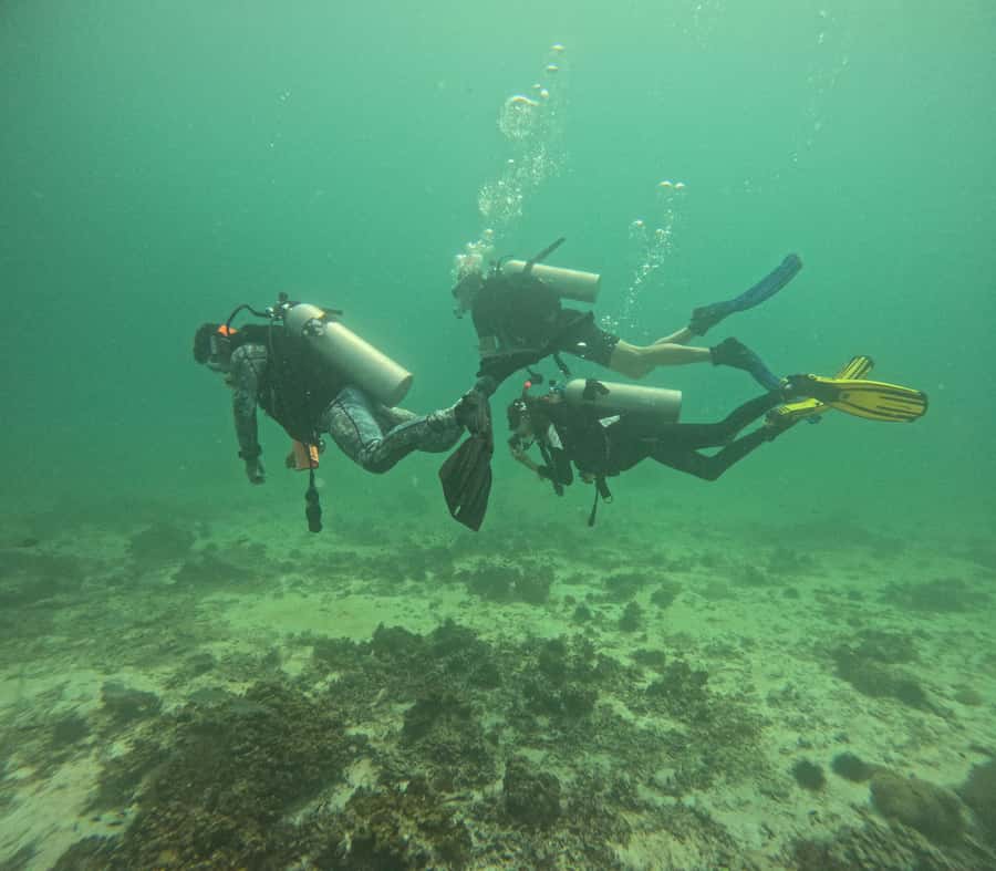 Muscat: Daymaniat Islands Try Scuba Diving - Choosing the underwater site