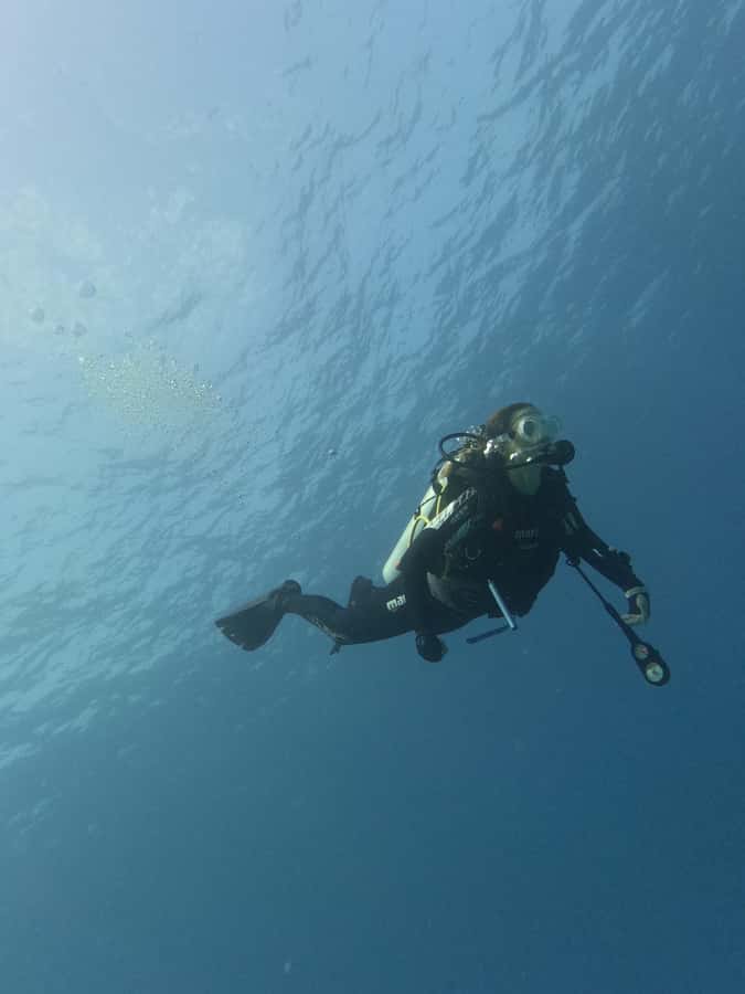 Muscat: Daymaniat Islands Try Scuba Diving - Who should book this outing?