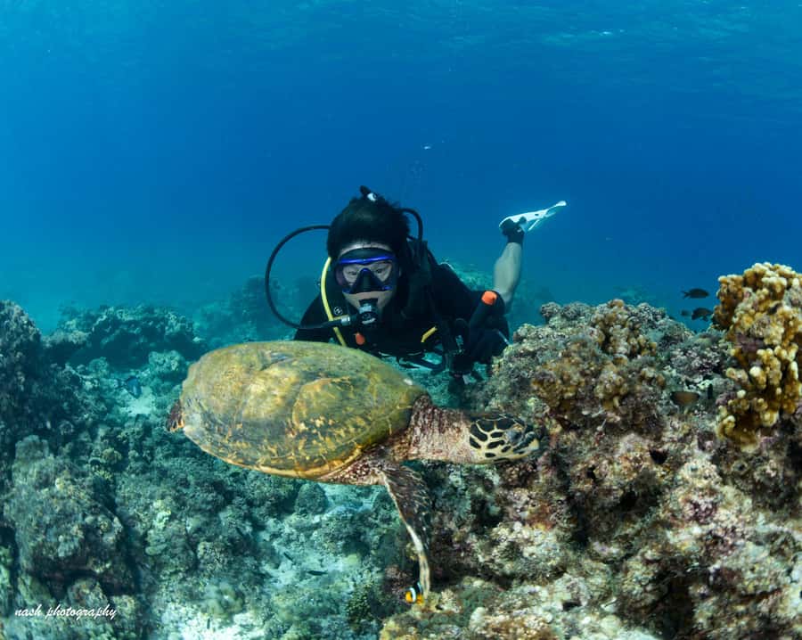 MUSCAT: Daymaniyat Island Snorkeling & Try-Dive + BBQ Lunch - Your first 25 minutes underwater