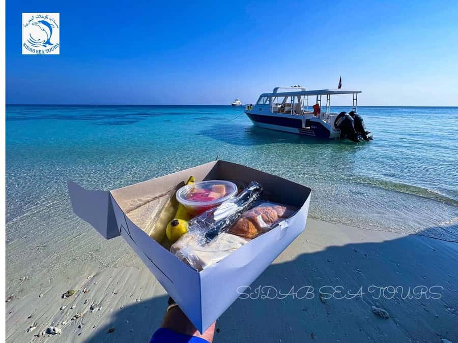 Muscat: Daymaniyat Island Snorkeling with Turtles Tour - The return journey and the real time commitment