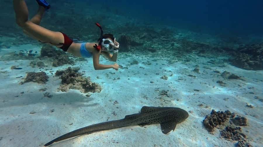 Muscat: Daymaniyat Islands Snorkeling Tour - Leaving Seeb Port in an open motorboat