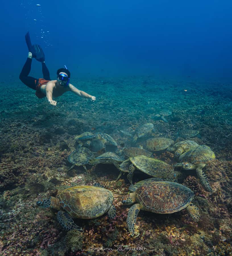 Muscat: Daymaniyat Islands Snorkeling Trip with BBQ Lunch - Why Daymaniyat Islands make a fine Muscat day trip