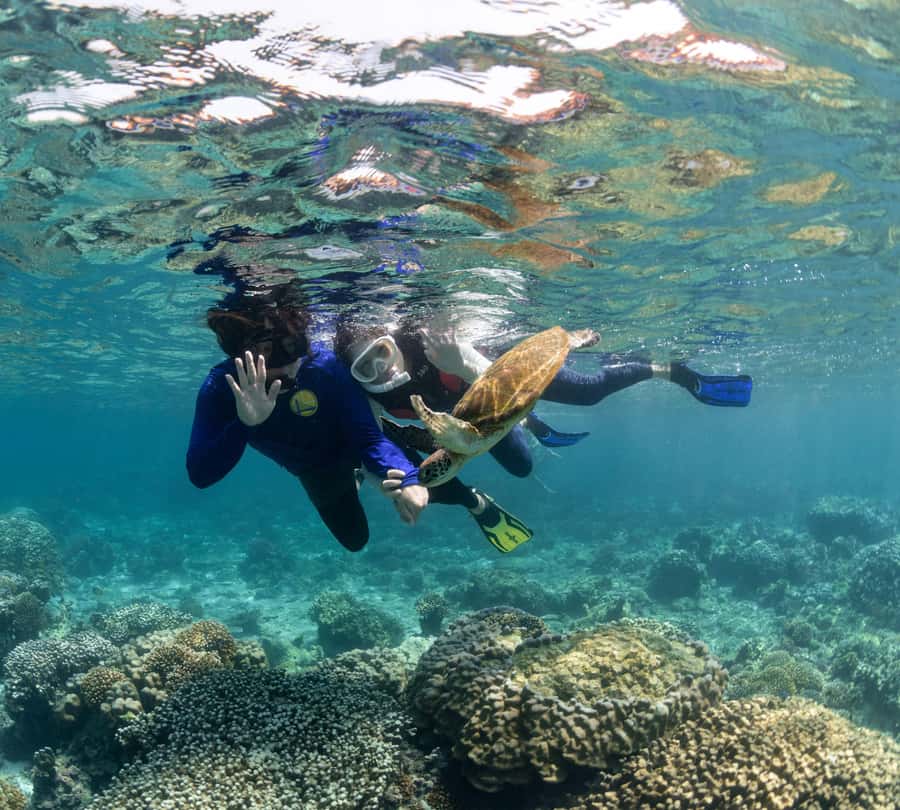 Muscat: Daymaniyat Islands Snorkeling Trip with BBQ Lunch - How much value do you get for $70?