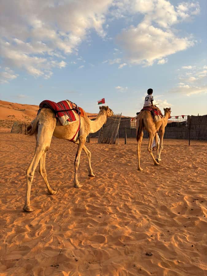 Muscat: Desert Sunset &Wadi Bnai Khalid Full-Day Tour+Lunch - Two Omani worlds in one long day