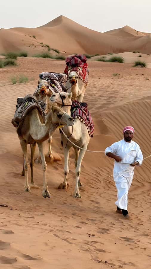 Muscat: Desert & Wadi Bani Khalid Tour with Quad Bike Option - The main tradeoff: breadth versus time