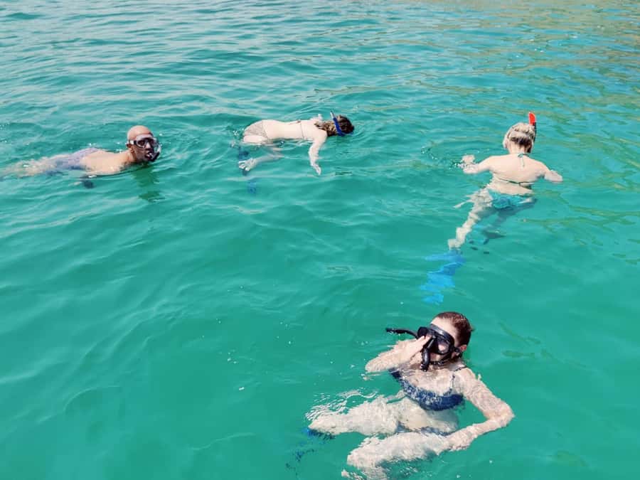 Muscat: Dolphin Watch & Snorkel Excursion - Searching for dolphins from the speedboat