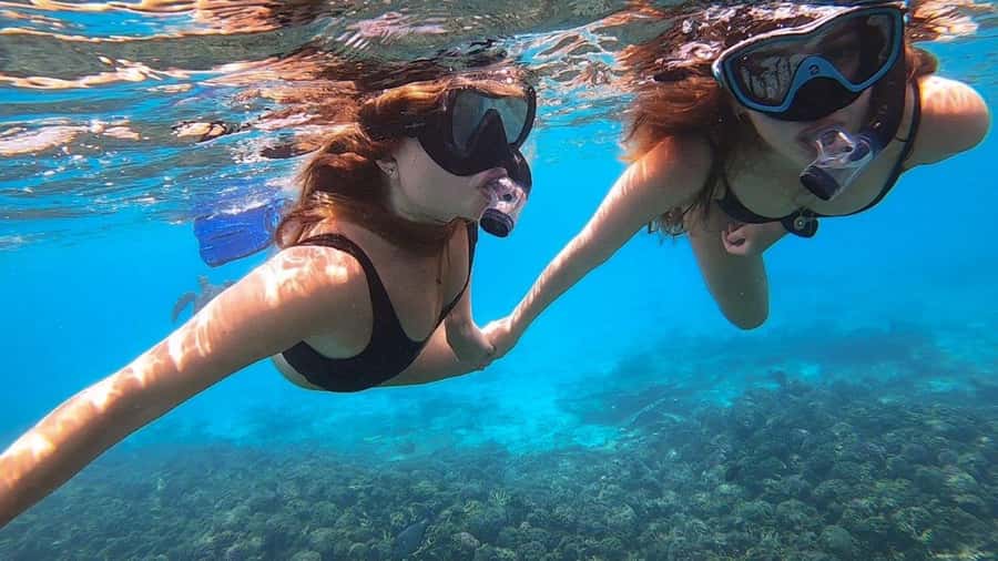 Muscat: Dolphin Watch & Snorkel Excursion - Snorkeling in the sheltered cove