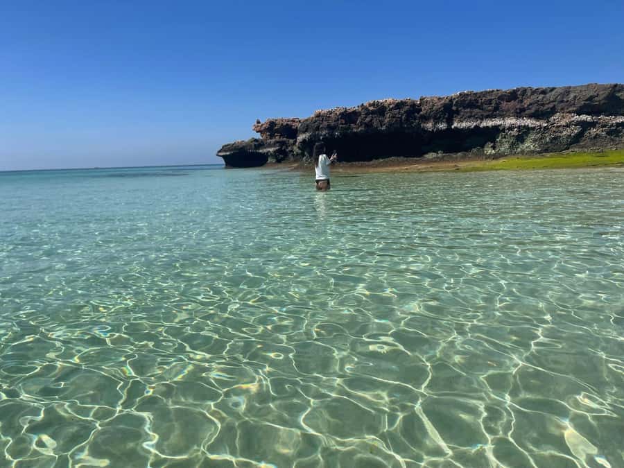 Muscat: Dolphin Watch & Snorkeling - Leaving Marina Bandar Al Rawdha