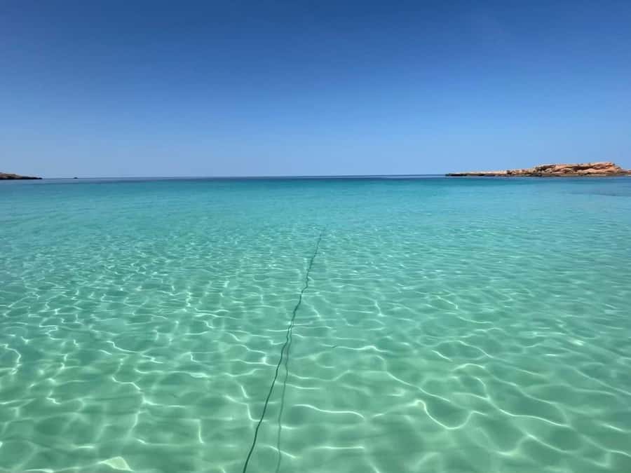 Muscat: Dolphin Watch & Snorkeling - Searching the Gulf of Oman for Dolphins