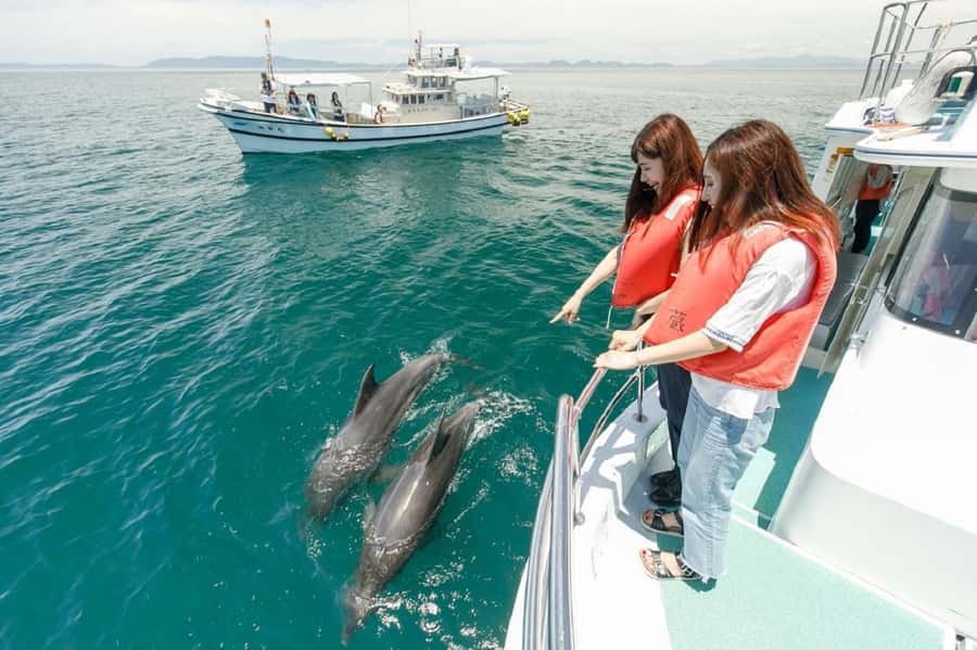 Muscat: Dolphin Watching and Snorkeling Tour - The day begins with a Muscat pickup