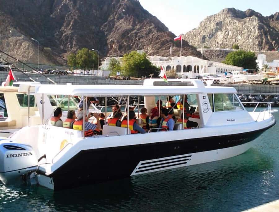Muscat: Dolphin Watching and Snorkeling Tour - The final call: book it for the two-part experience