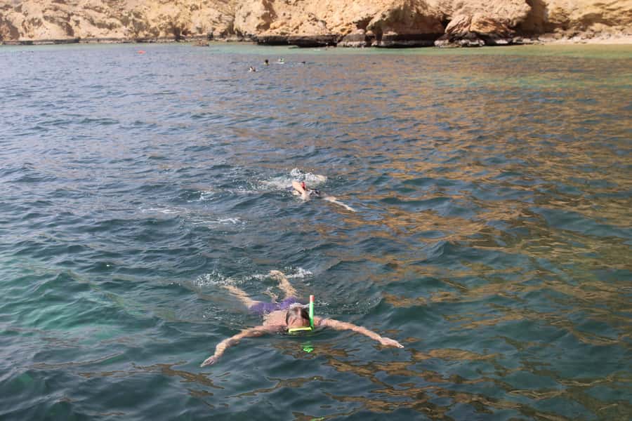 Muscat: Dolphin Watching and Snorkeling Tour By Speed Boat - Snorkeling in Bandar Khiran or Muscat Bay