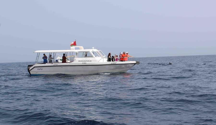 Muscat: Dolphin Watching and Snorkeling Tour By Speed Boat - Searching for dolphins off Muscat